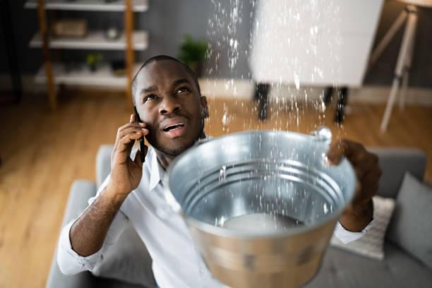 Best Water damage restoration near me  in Cusseta, GA