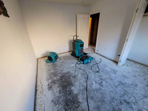 Best Commercial water damage restoration  in Cusseta, GA