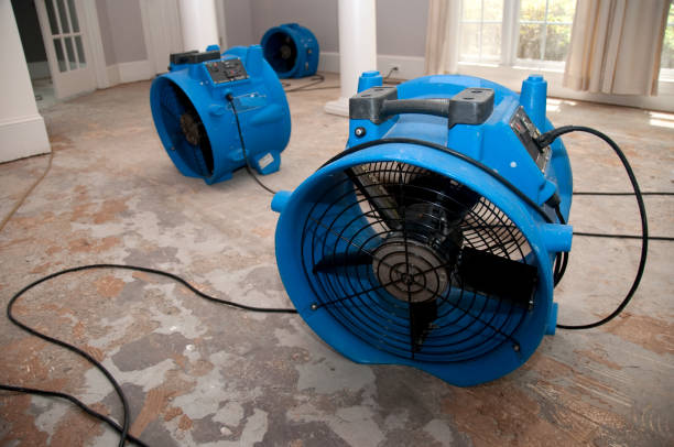 Best 24-hour water damage restoration  in Cusseta, GA