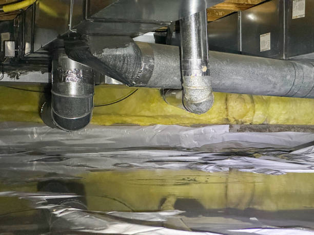 Best 24/7 water damage repair  in Cusseta, GA