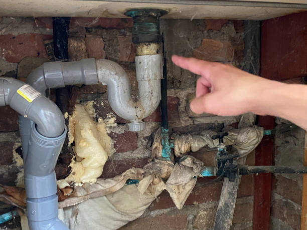 Best Flood restoration services  in Cusseta, GA