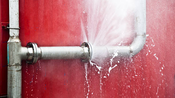 Best Basement water damage restoration  in Cusseta, GA