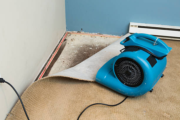  Cusseta, GA Water damage restoration Pros